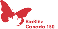 Bioblitz Canada logo