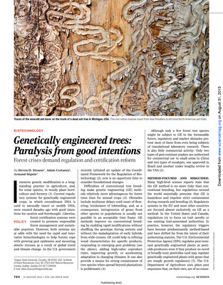 Genetically engineered trees: Paralysis from good intentions. 