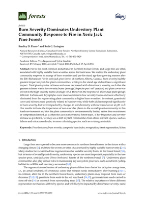 Burn severity dominates understory plant community response to fire in xeric jack pine forests.
