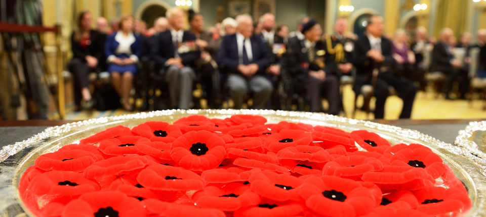 2015 National Poppy Campaign