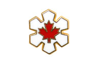 Order of Canada lapel pin