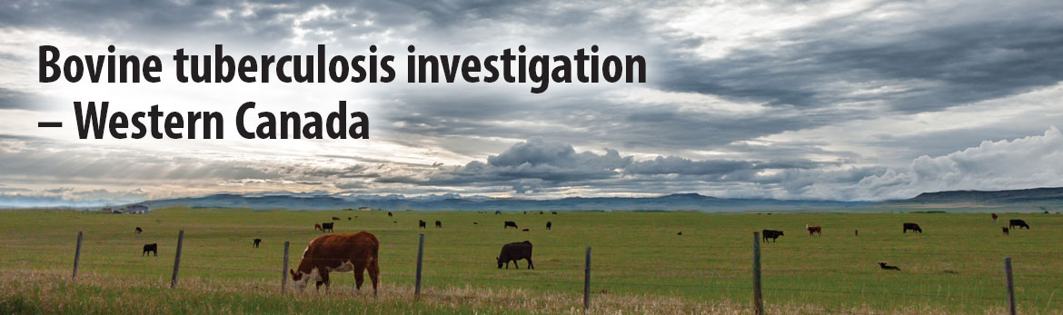 Bovine tuberculosis investigation - Western Canada