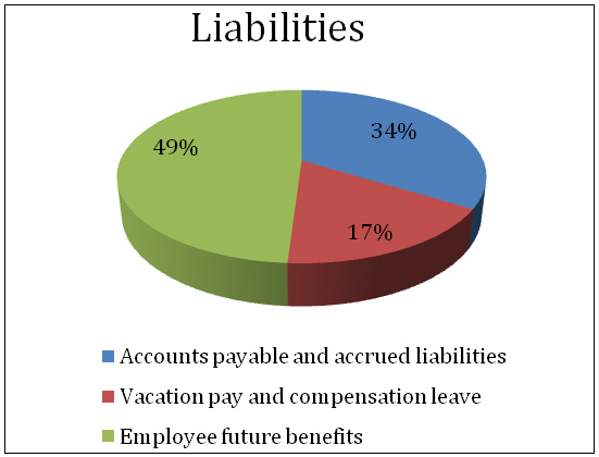 Pie chart illustrating liabilities. Accounts payable and accrued liabilities represented 34%, vacation pay and compensation leave represented 17%, employee future benefits represented 49%.