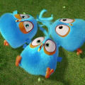 Trois oiseaux bleus allongés sur l'herbe