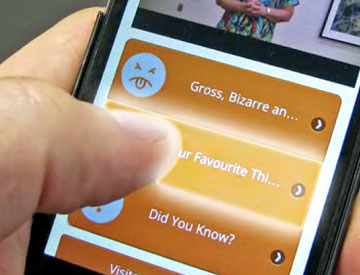 Close-up of a person's hand holding a mobile device and using an app.