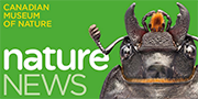 Text: Canadian Museum of Nature. Nature News. Image: An insect.