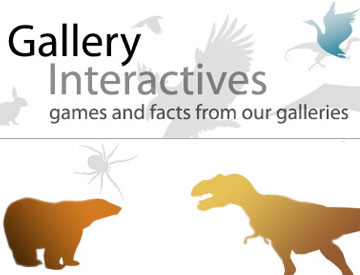 Text: Gallery Interactives. Illustrations: Silhouettes of animals.