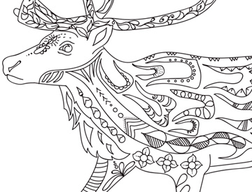 Detail from the caribou (Rangifer tarandus) colouring page.