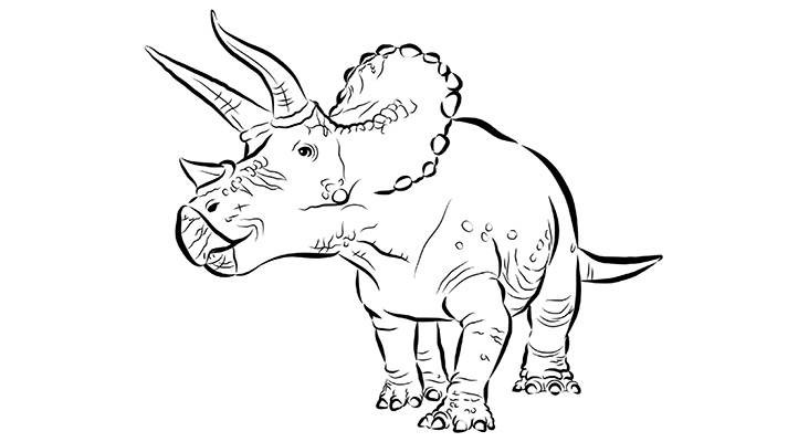The Triceratops colouring page.