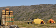 Tents and a plant press on the tundra.