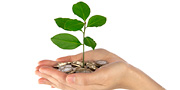 Cupped hands holding a pile of coins that are sprouting a small plant.