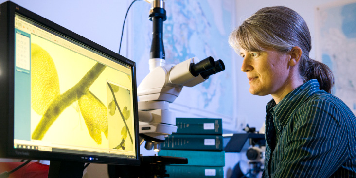 A woman at a microscope looks at the adjacent screen.