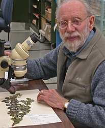 A man sits at a lab table to look at a herbarium specimen under a microscope.