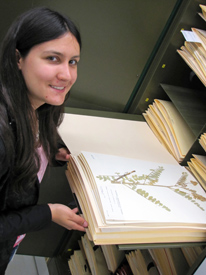 A woman stands at an open herbarium cabinet.