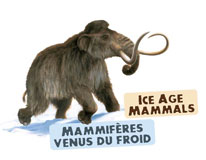Logo of Ice Age Mammals.
