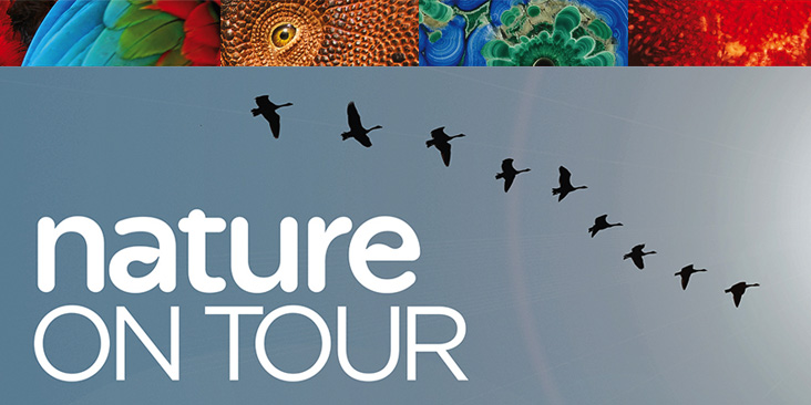 Text: Nature on Tour. Images: Geese in flight; four close-ups: bird feathers, the eye of a dinosaur model (Vagaceratops irvinensis), a specimen of azurite and malachite (CMNMC 54519), reptile skin.