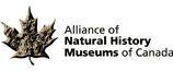 Logo of Alliance of Natural History Museums of Canada.