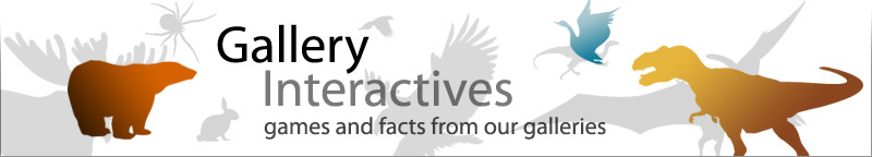 Text: Gallery Interactives. Games and facts from our galleries. Illustrations: Silhouettes of animals, from our gallery icons.