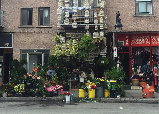 Fun Things to do in Montreal: Plateau Mont-Royal