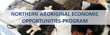 Northern Aboriginal Economic Opportunities Program (NAEOP)