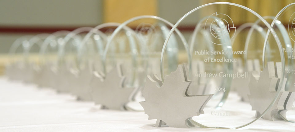 Public Service Award of Excellence