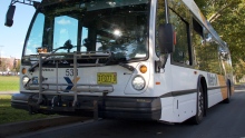 Halifax Transit bus