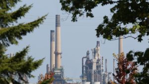 Clouds of fire and steam towered over a Sarnia-area petrochemical company for five hours in February after equipment malfunctioned.
