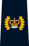 RCMP Staff Sergeant Major.png