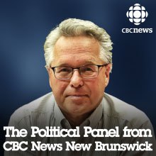 NB: The Political Panel