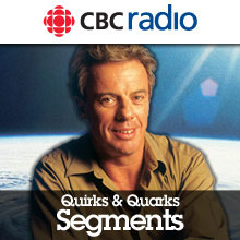 Quirks & Quarks - Segments