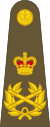 Shoulder insignia consisting of crossed golden batons surrounded by golden oak leaf embellishment, topped with a crown.