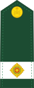 Canadian Army OF (D).svg