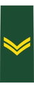 Canadian Army OR-4.svg