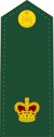Canadian Army OF-3.svg