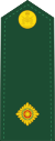 Canadian Army OF-1a.svg