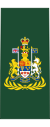 Canadian Army OR-9c.svg