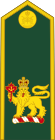 Canadian Army (Commander-in-Chief of the Canadian Armed Forces).svg