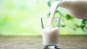 Le lait pourrait coûter plus cher dès le&nbsp;1<sup>er</sup>&nbsp;septembre