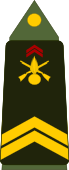 insignia with two chevrons
