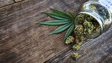 Pot de cannabis versé sur une table en bois