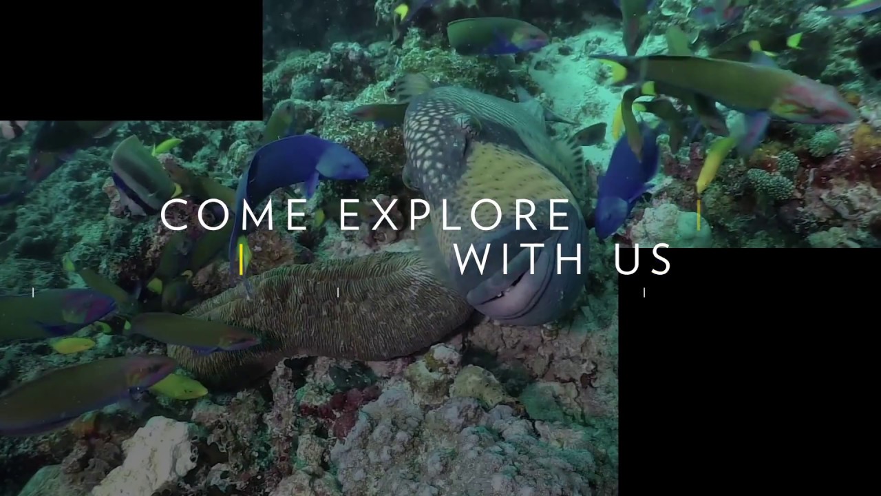 video: Nat Geo Live: Come Explore With Us