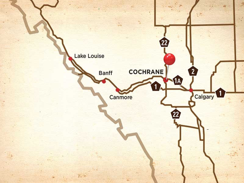 Cochrane map