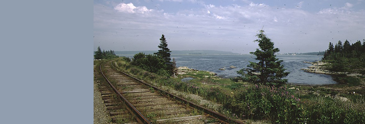 Train tracks and Cole Harbour