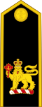 Royal Canadian Navy (Commander-in-Chief of the Canadian Armed Forces).svg