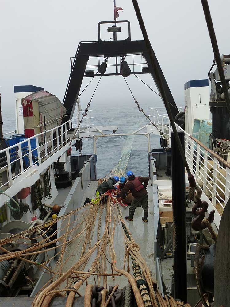 Midwater trawl. © Fisheries and Oceans Canada (DFO).
