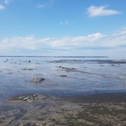 En raison de la marée basse, des roches sont visibles au bord du fleuve. Une île se dessine à l'horizon.