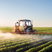 Un tracteur épand des pesticides dans un champ de soya.