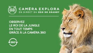 Bloc promo : Caméra Explora dans la tanière des lions