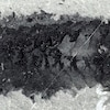 Restes fossilisés d'un Mollisonia plenovenatrix.