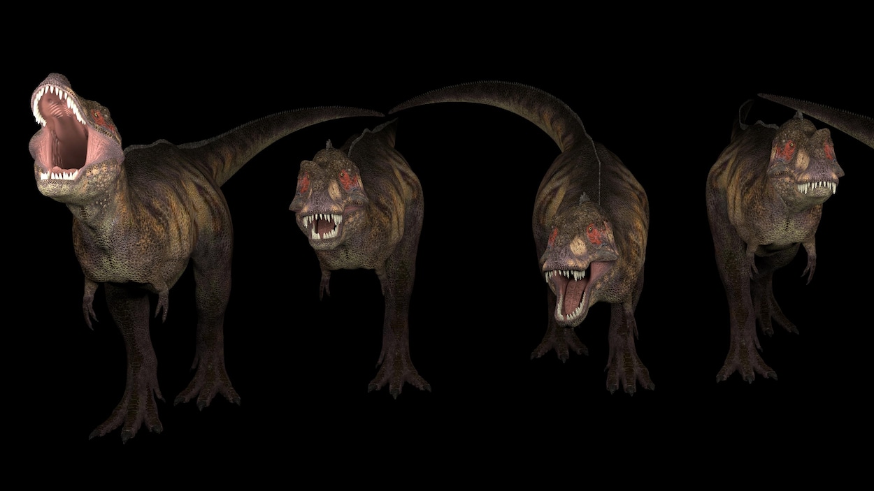 Illustration d'un groupe de quatre T. rex.